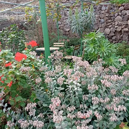 Lagarto Guest house Agaete (Gran Canaria)