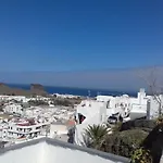 Lagarto Agaete (Gran Canaria)
