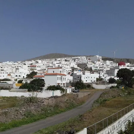 Lagarto Agaete