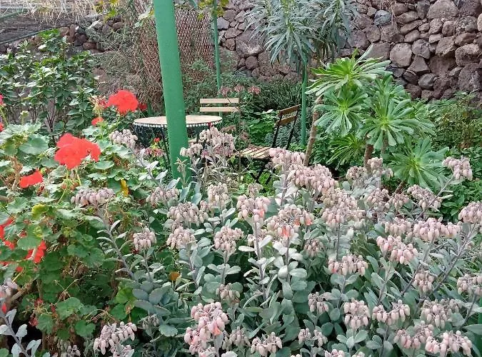 Lagarto Maison d'hôtes Agaete (Gran Canaria)