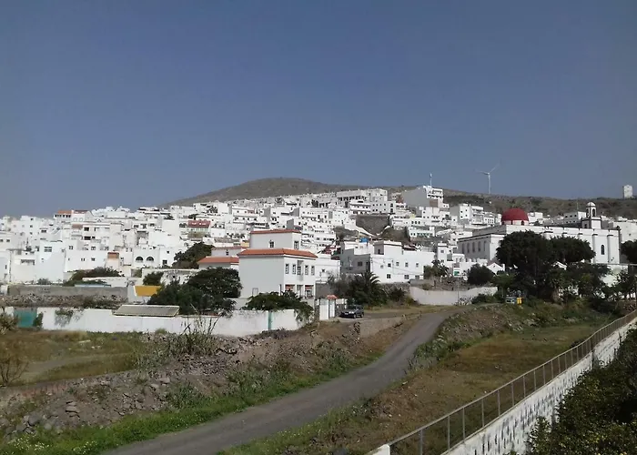 Lagarto Agaete (Gran Canaria)